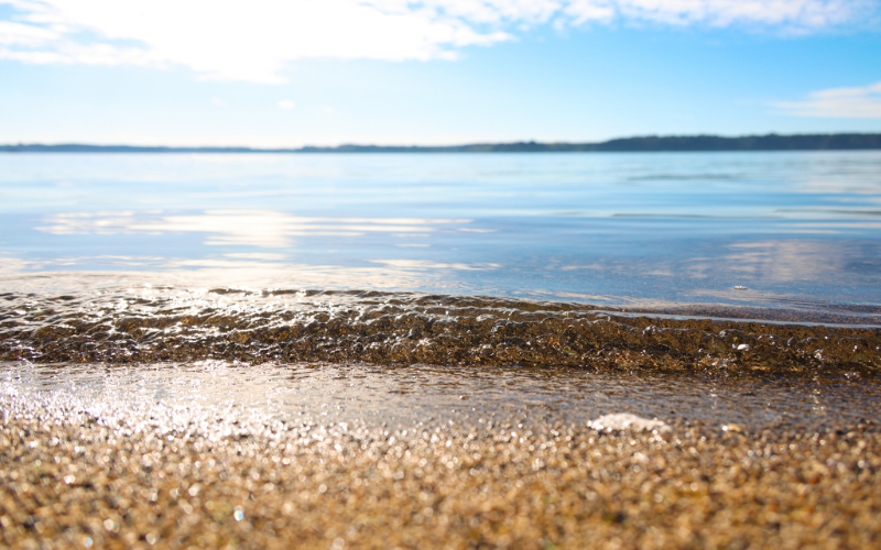 Lake Rotoiti shoreline with wave