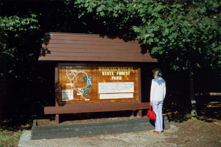 An elderly woman reading the sign for Whakarewarewa State Forest walk