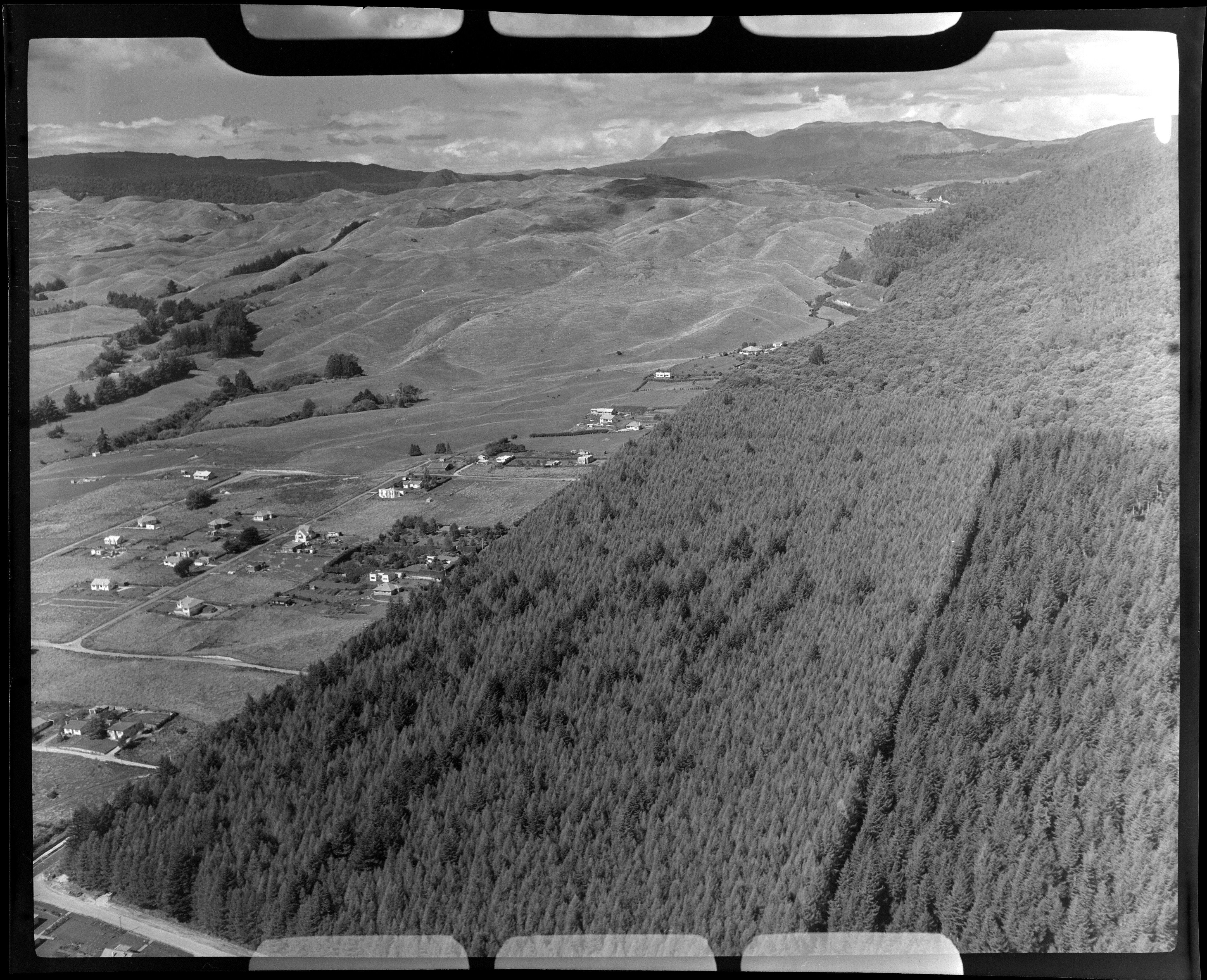 Black and white aerial photo of Tarawera road and a plantation forest