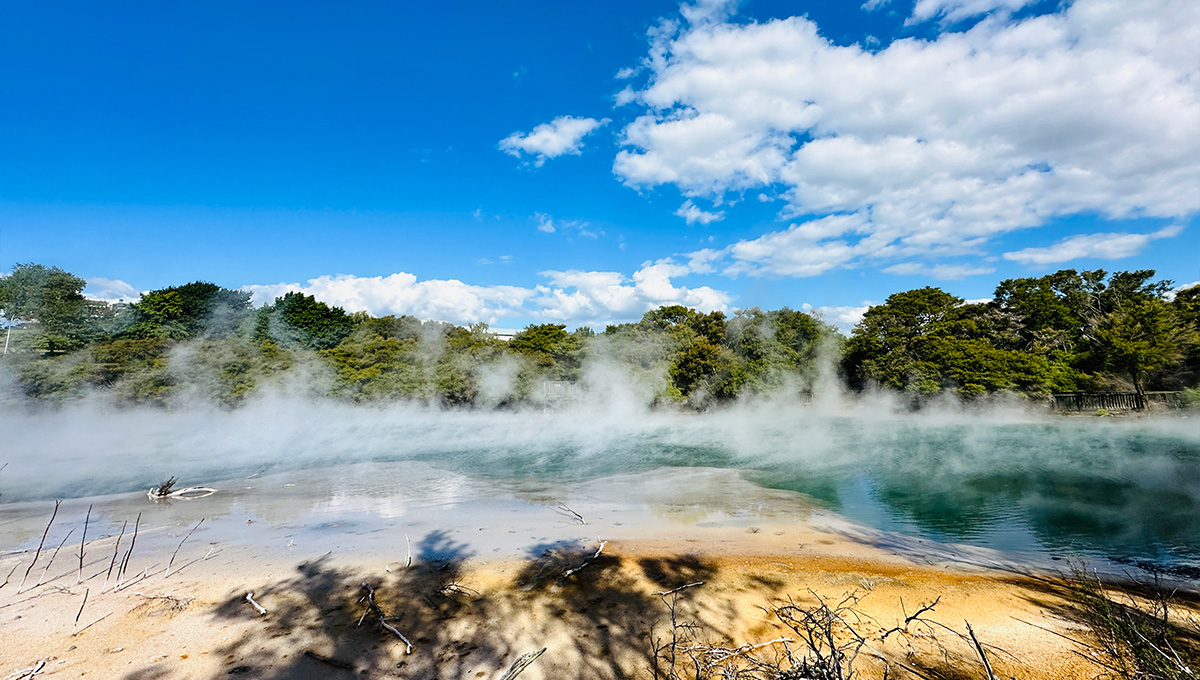 A green coloured, geothermal lake at Kuirau park with steam rising from it's surface with trees in the background.