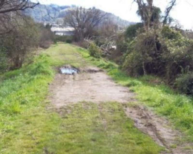 A patchy grass path at the top of the old dam at the Old Taupō Road end.