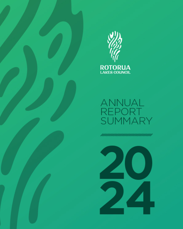 Visual summary of the 2024 annual report, highlighting major achievements and financial performance in a concise layout.